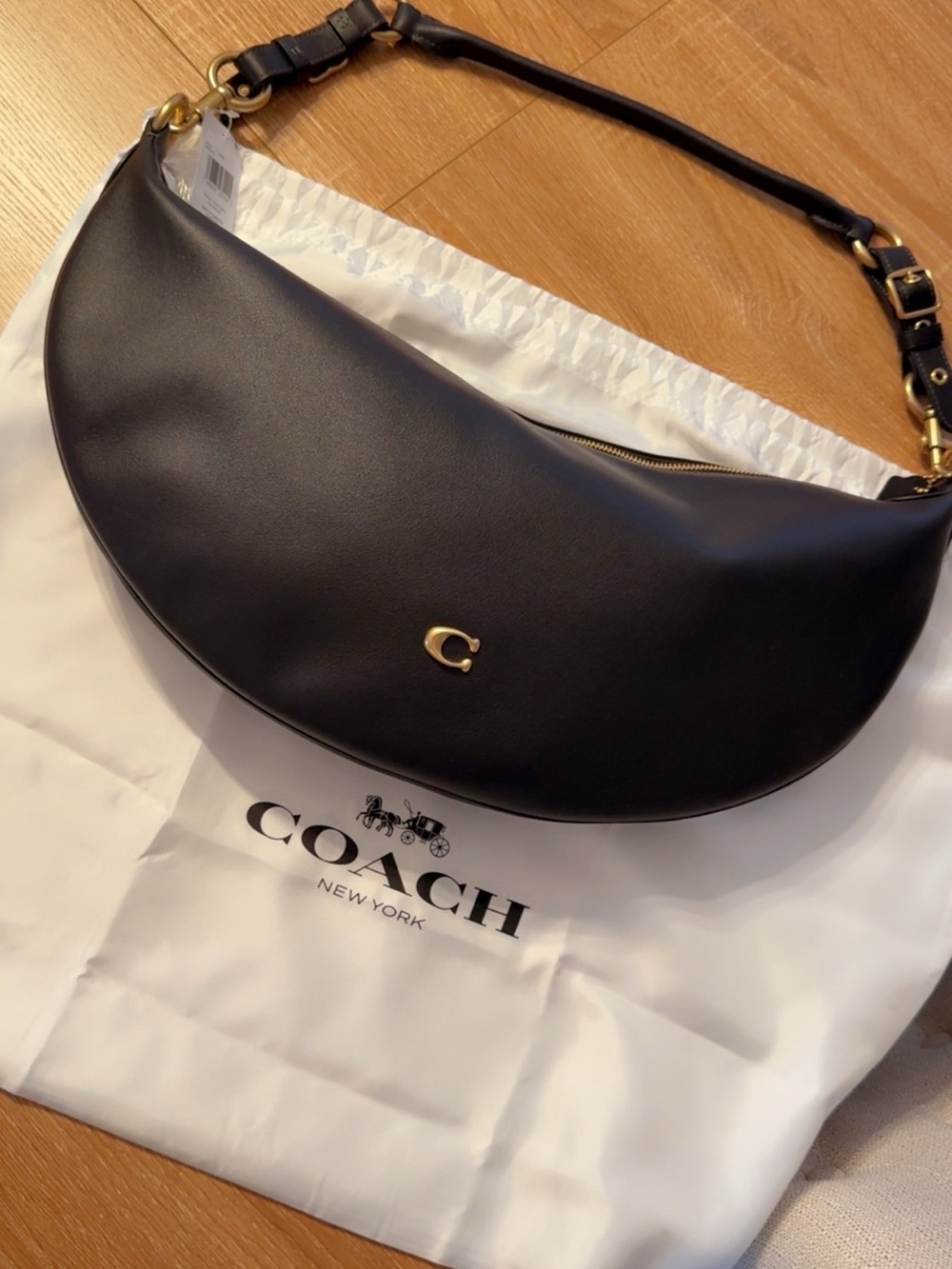 Coach Paige sling bag
